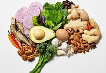 Cerebro Sano